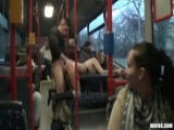 Sex im Linienbus in Süd-Amerika  – Public Porn
